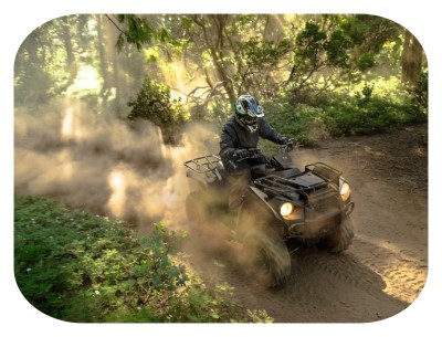 atvs with cheap prices for sale